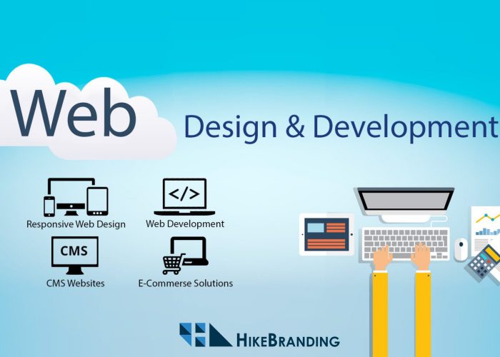 E-commerce website Pune gives you online business profit